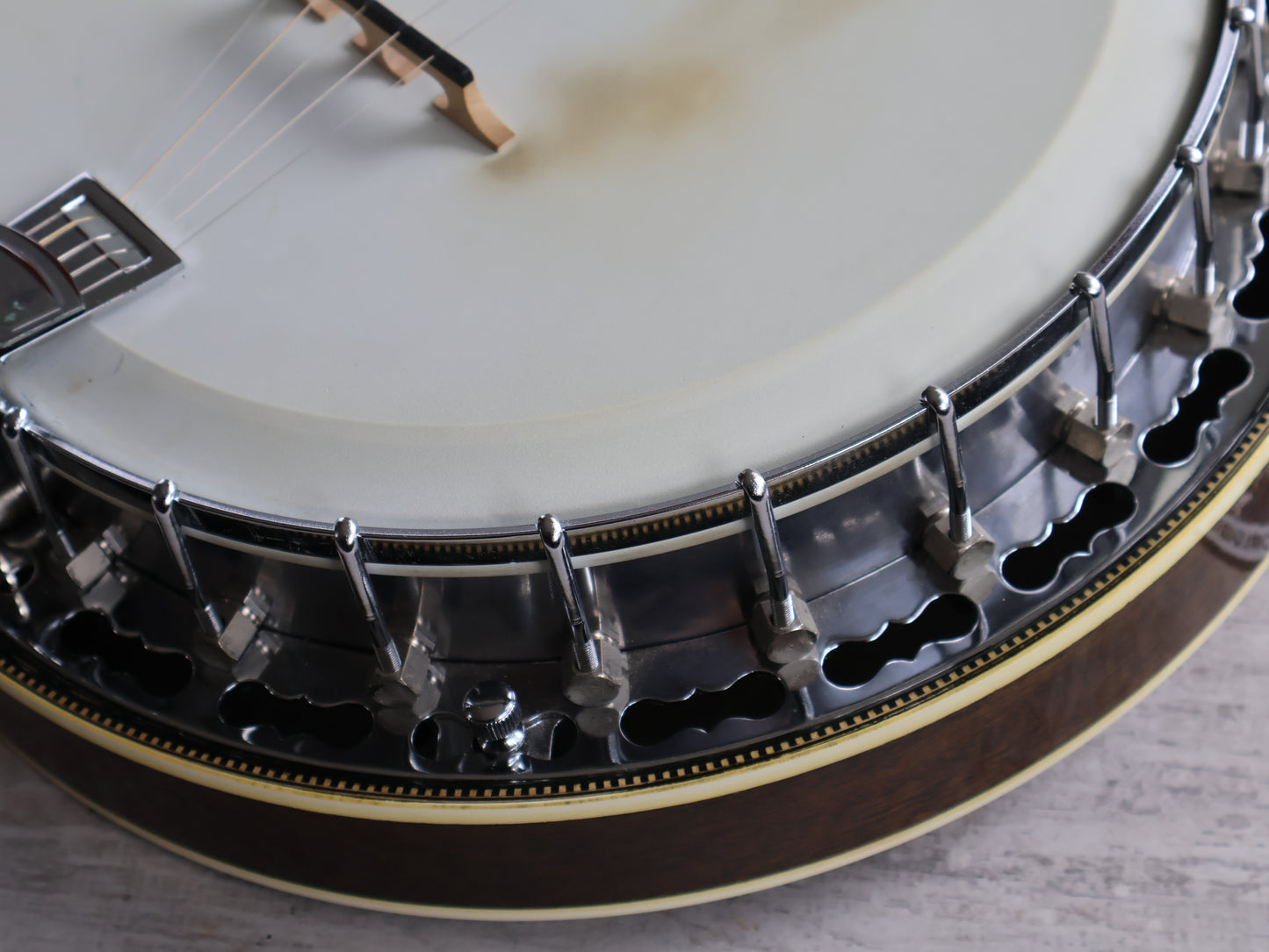 1980's Payton Japan 5-String Banjo