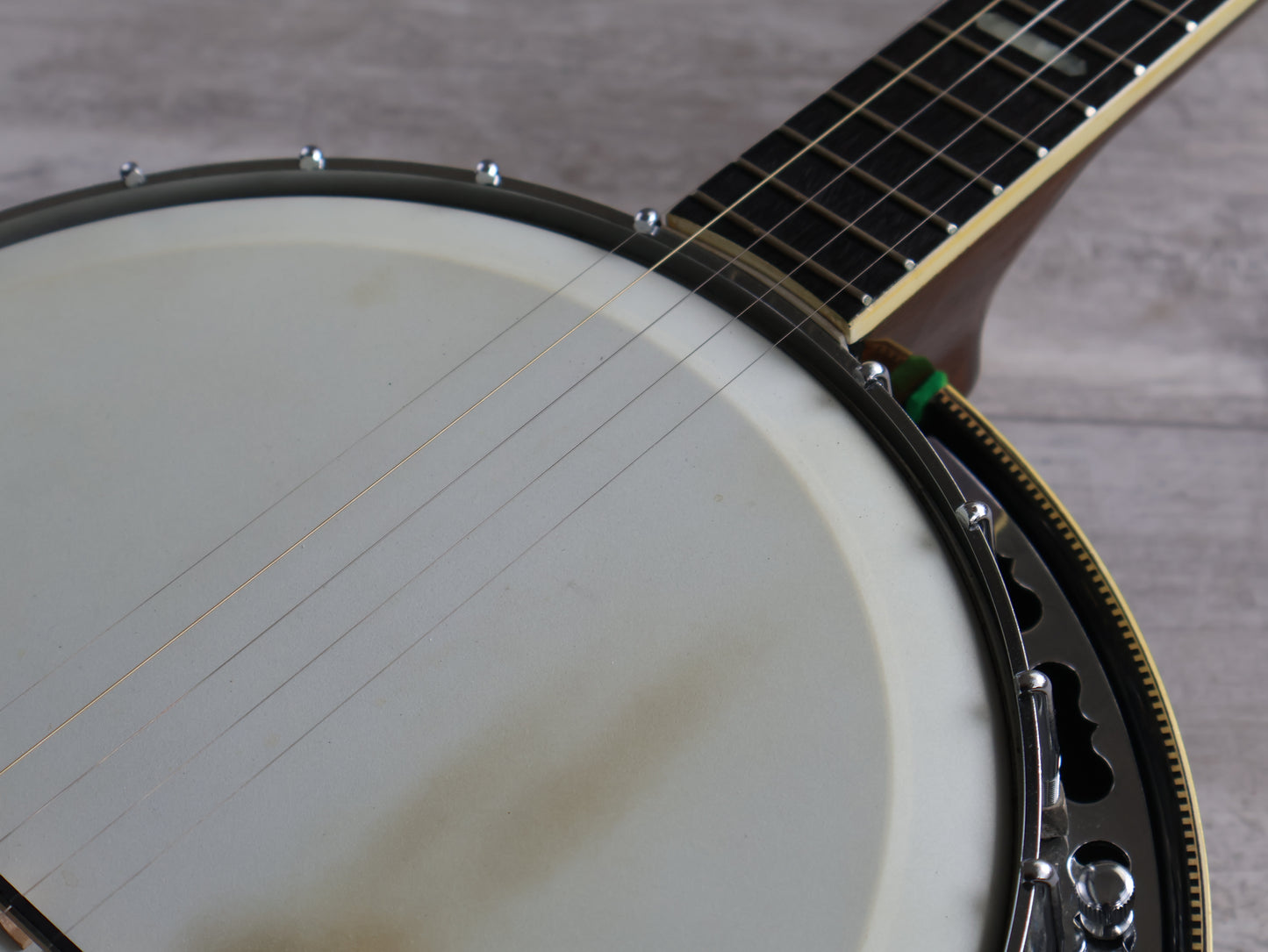 1980's Payton Japan 5-String Banjo