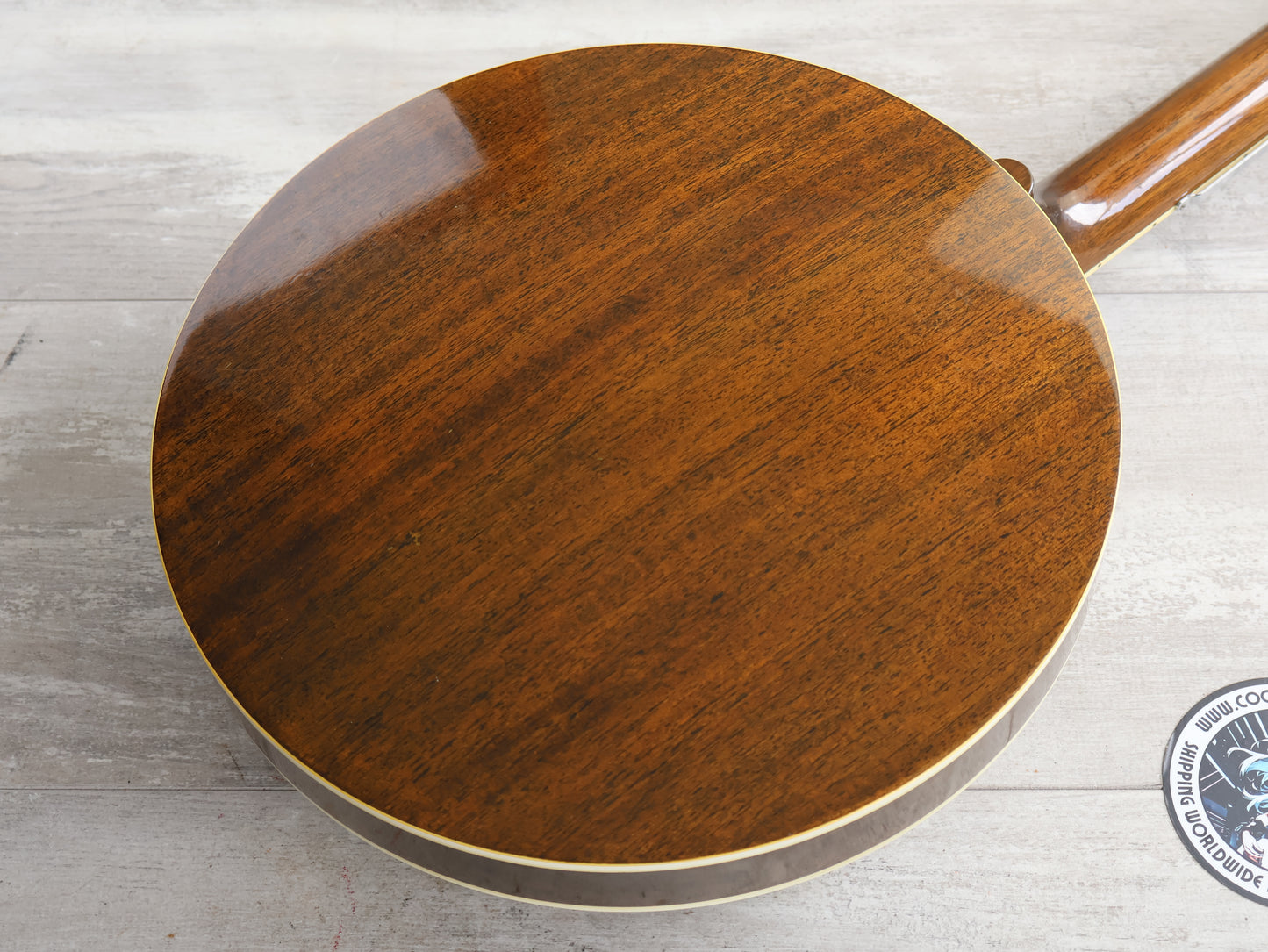 1980's Payton Japan 5-String Banjo