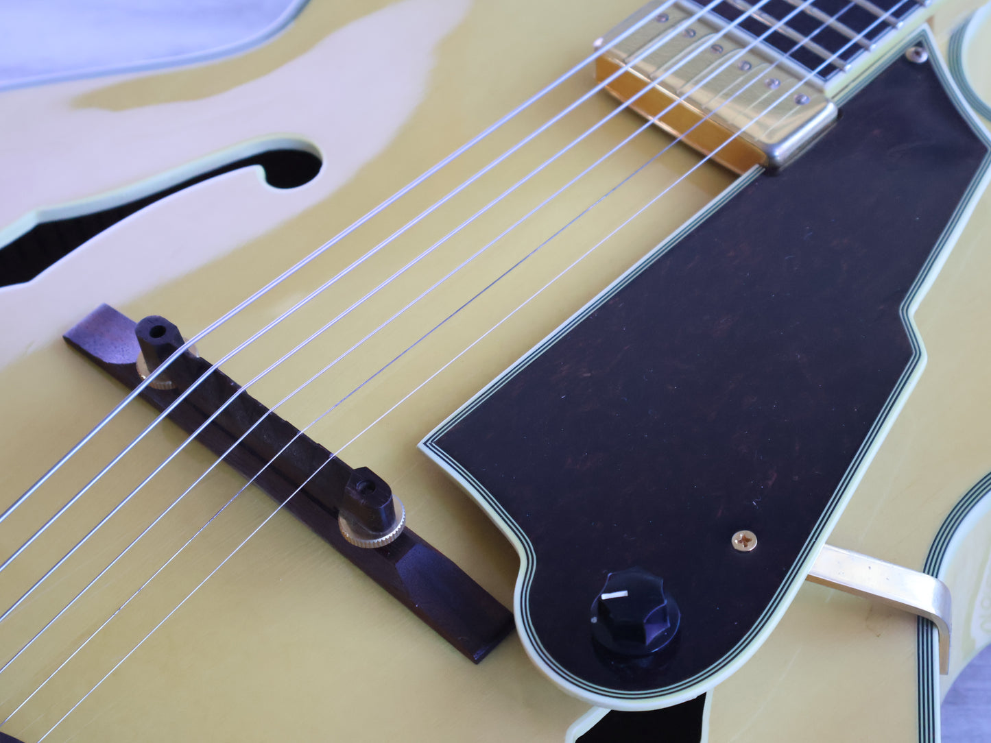 1990's Antique Noel AJG-980 Jazz Box Hollowbody (Natural)