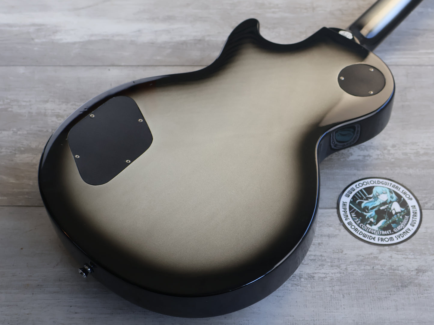 PhotoGenic Les Paul Standard (Silverburst)