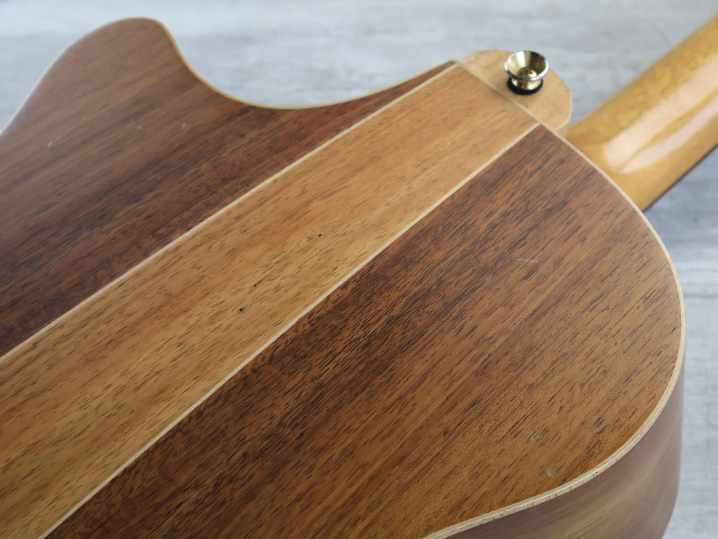 2016 Cole Clark AN2EC-RDBL Acoustic/Electric