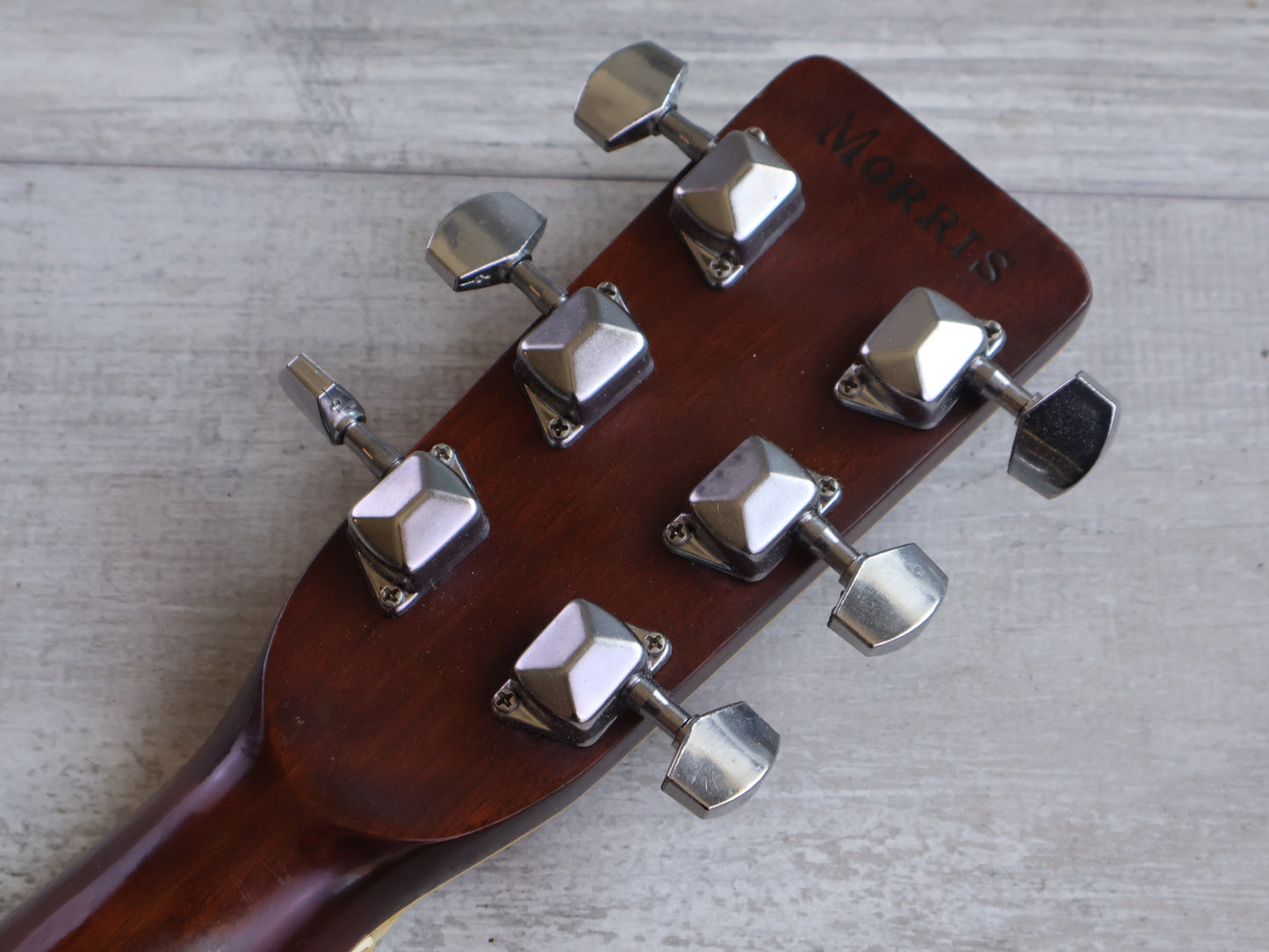 1980's Morris F-20 Japanese Vintage Acoustic Guitar (Natural)