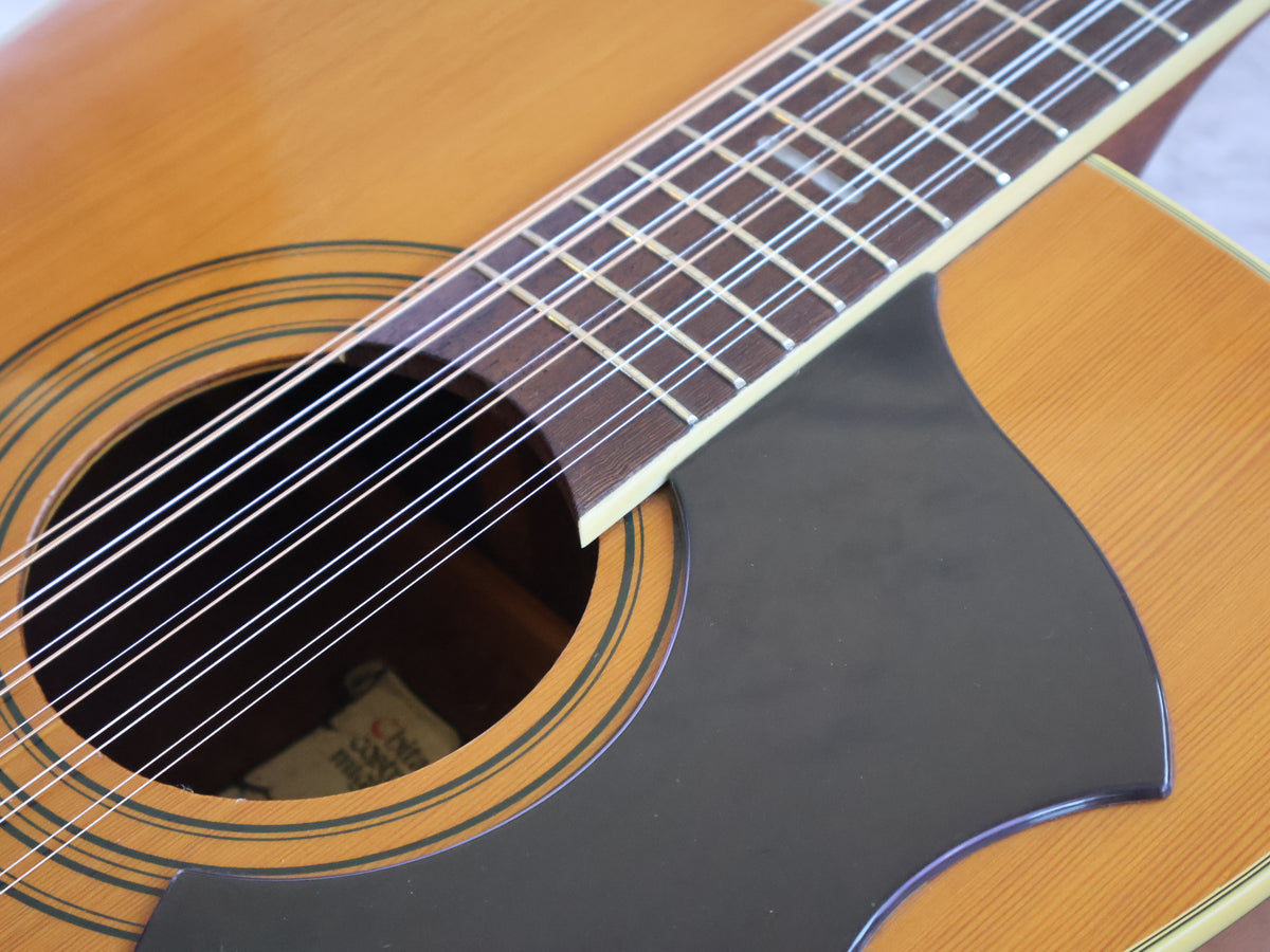 1970's EKO Ranger XII Vintage 12-String Acoustic Guitar (Natural)