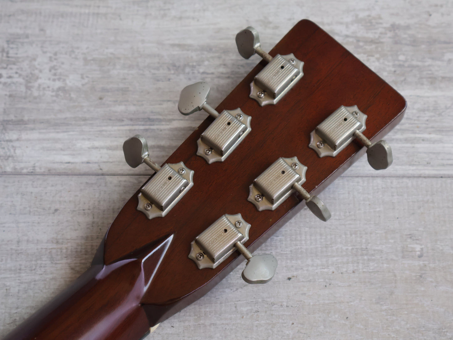 1982 Tokai/Martin Cat's Eyes TCM-50V Vintage Acoustic Dreadnought (Natural)