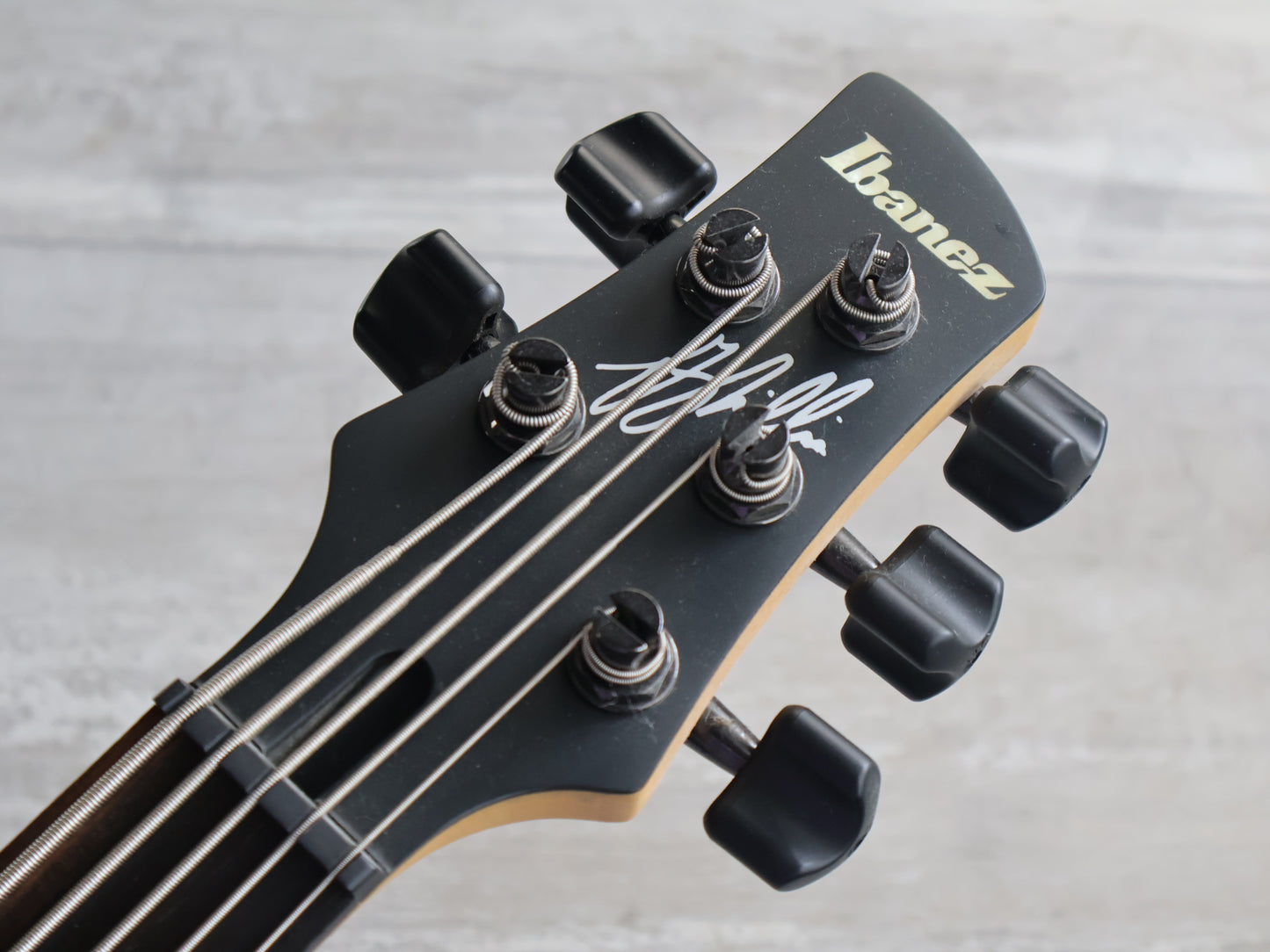 Ibanez GWB35 BKF Gary Willis Signature Model Fretless 5-String Bass (Black)