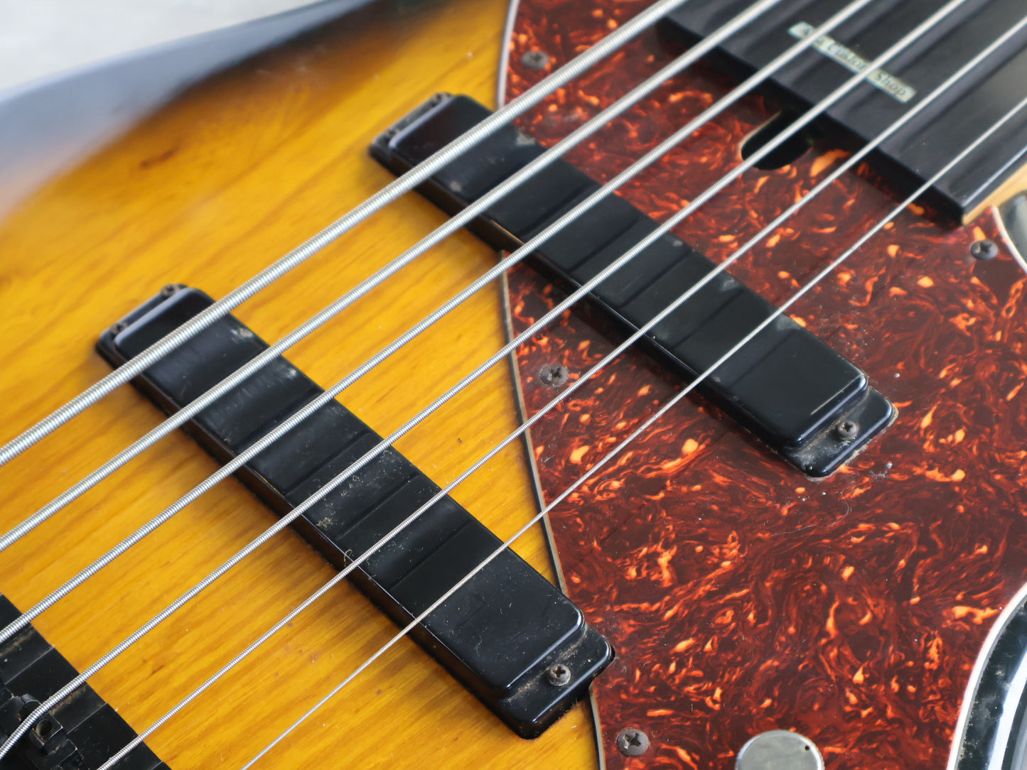 1995 Aria Pro II AVB-SB-06A Steve Bailey Signature 6-String Fretless Bass (Sunburst)