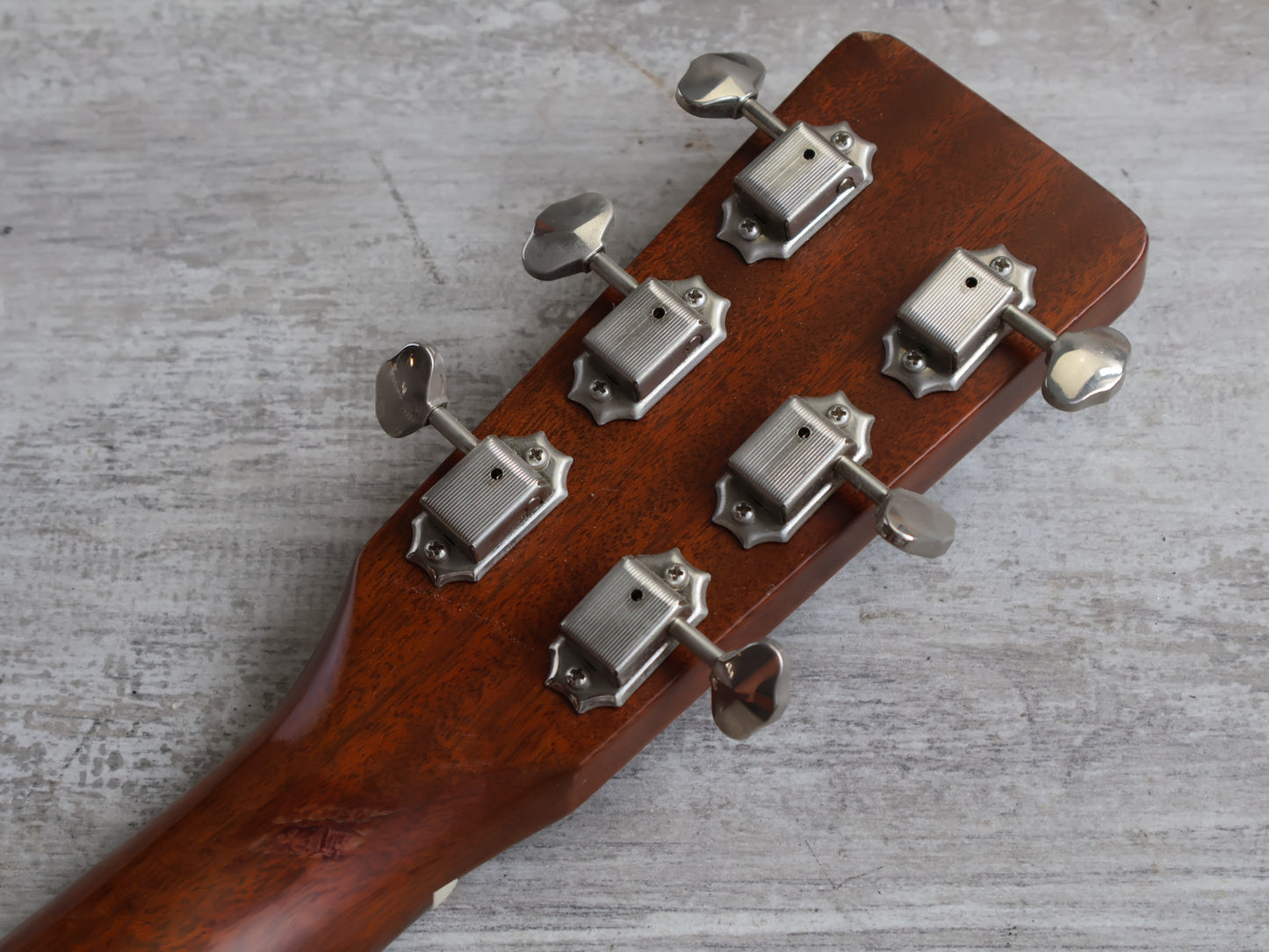 2000 Tokai Cat's Eyes CE55T OM Acoustic