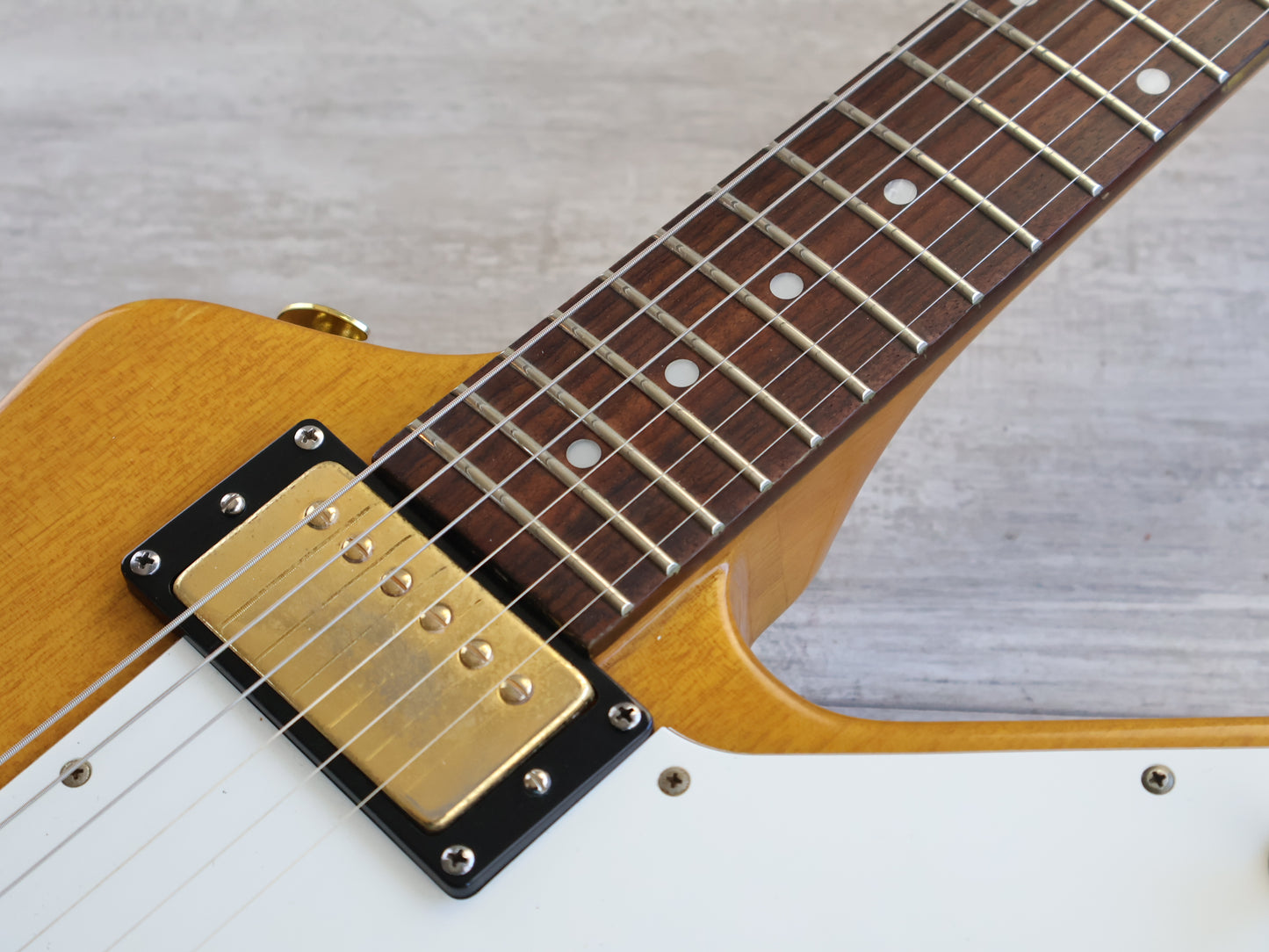 2004 Edwards (by ESP Japan) E-EX-80D Explorer (Natural)