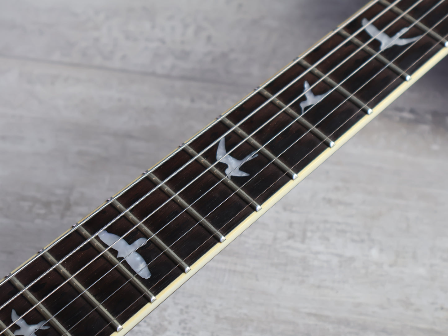 Paul Reed Smith PRS SE Mark Holcomb Signature (Holcomb Burst)