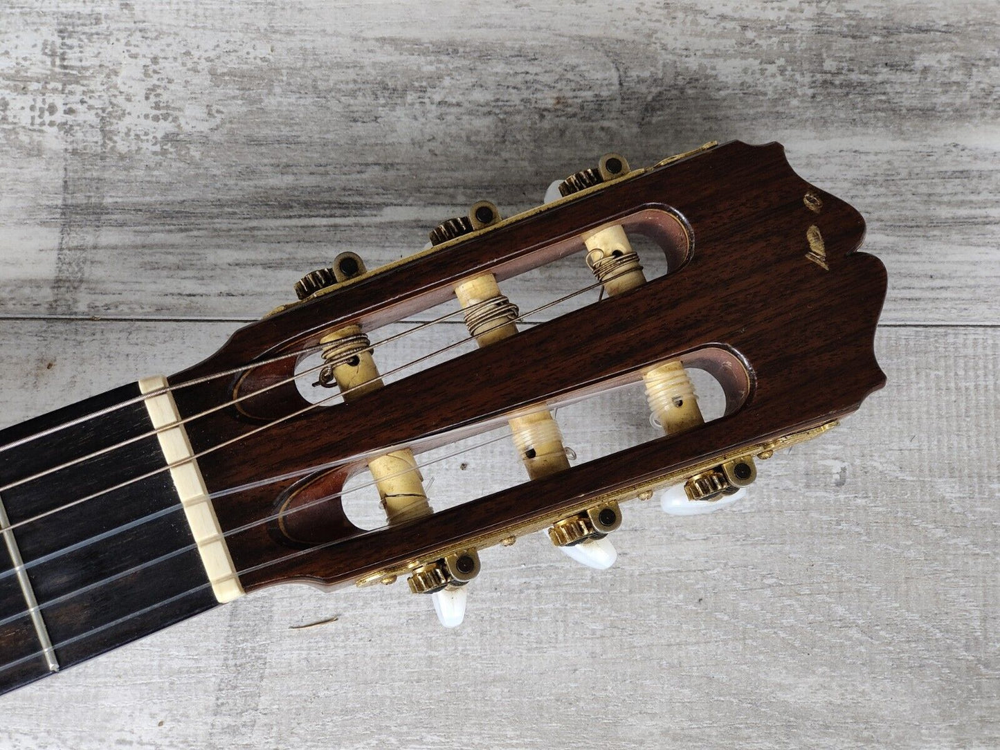 1982 Takamine Japan No 6 Concert Classical Guitar (Solid Spruce)