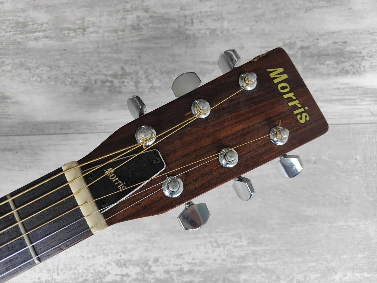 1980's Morris W-15 Vintage Acoustic Guitar