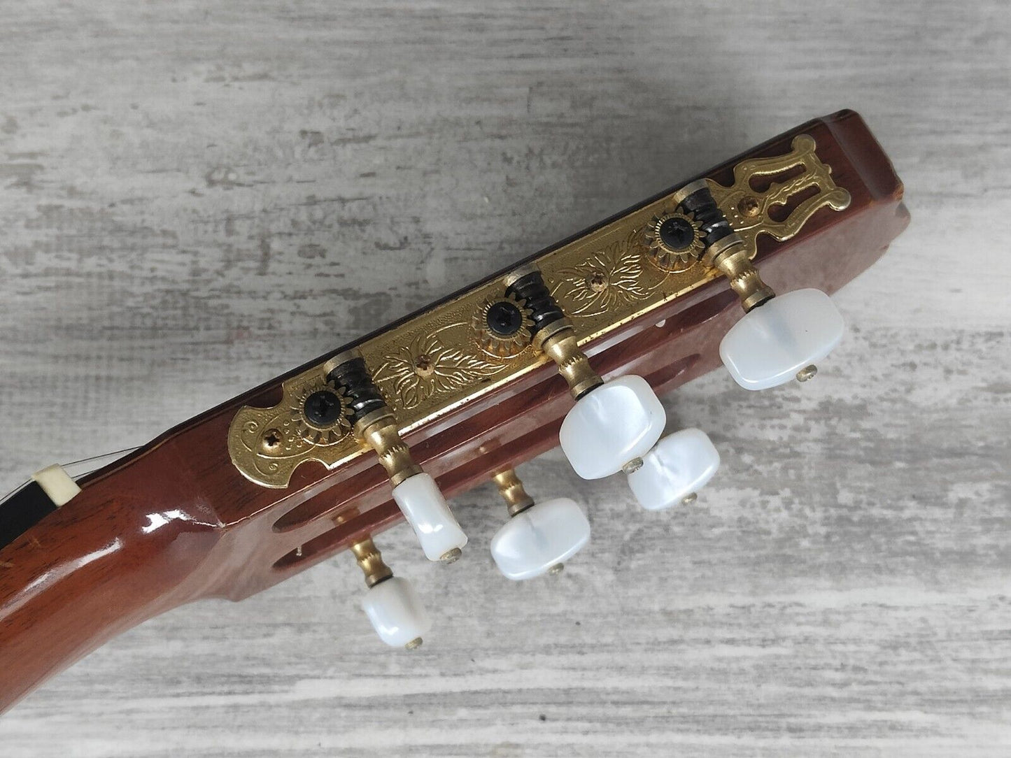 1982 Takamine Japan No 6 Concert Classical Guitar (Solid Spruce)