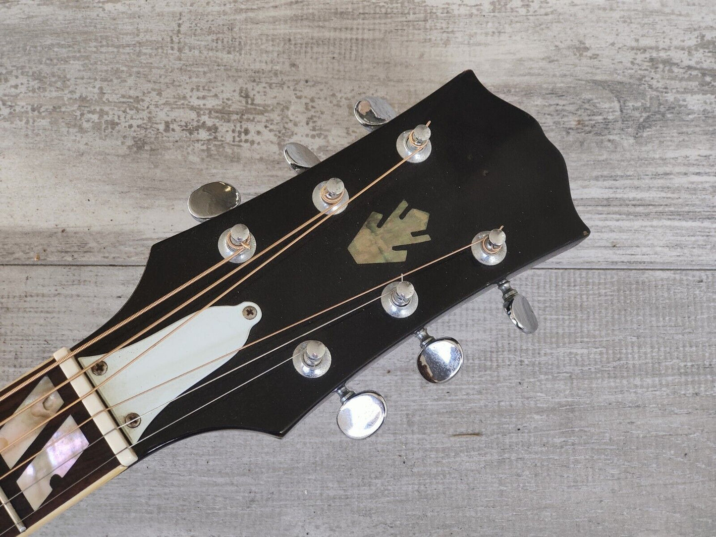 1980 Morris WD-35 Dove Japanese Vintage Acoustic Guitar (Natural)