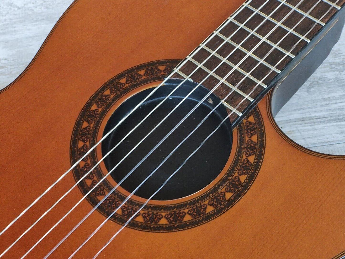 Morris Japan Groovin' PA-17G Nylon String Acoustic w/Preamp