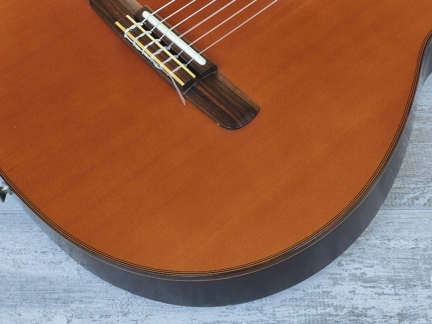 Morris Japan Groovin' PA-17G Nylon String Acoustic w/Preamp