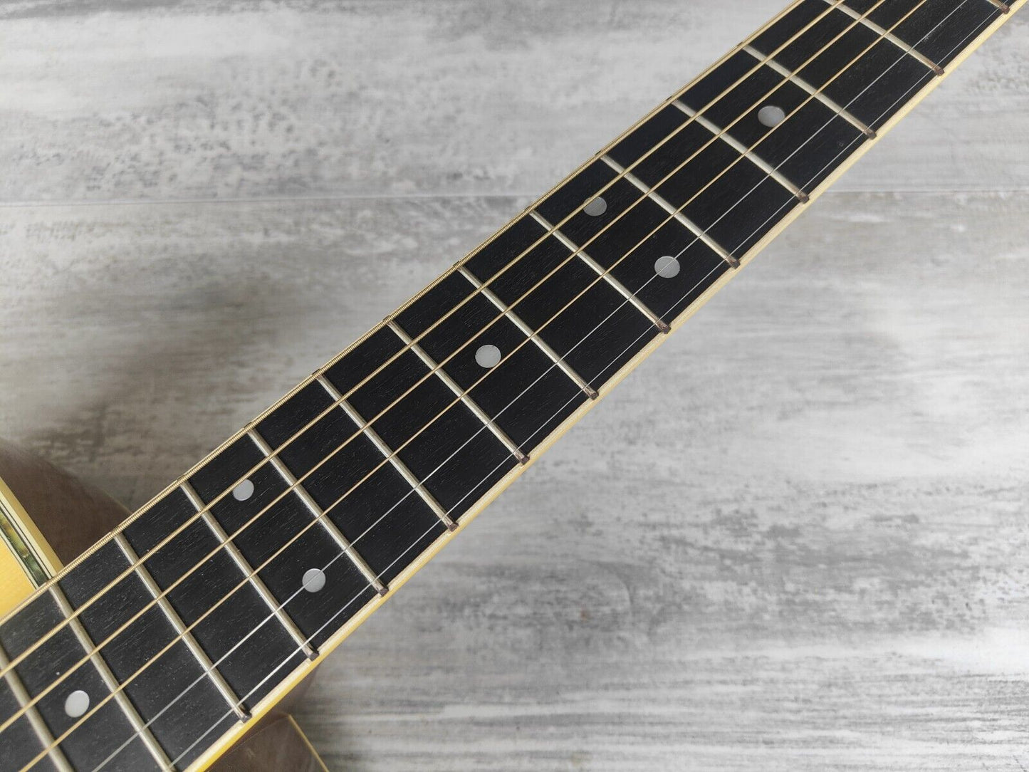 1990's Cat's Eyes (Tokai Japan) CE-18T Acoustic Guitar (Natural)