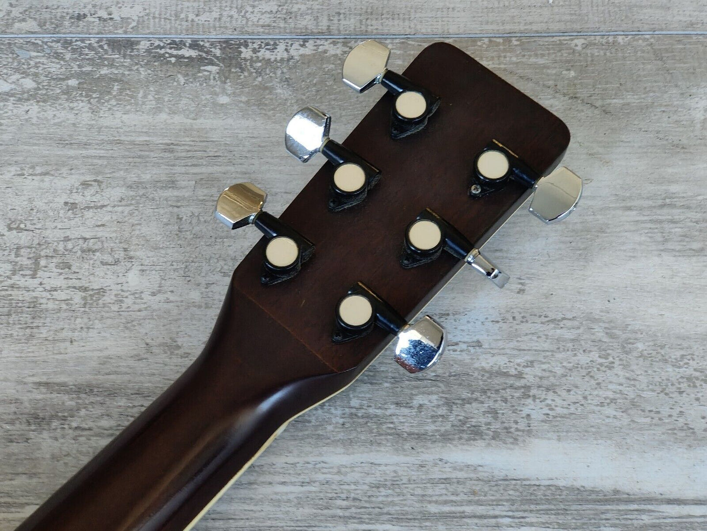 1980's Tokai Cat's Eyes CE-300 Japanese Vintage Acoustic Guitar (Natural)