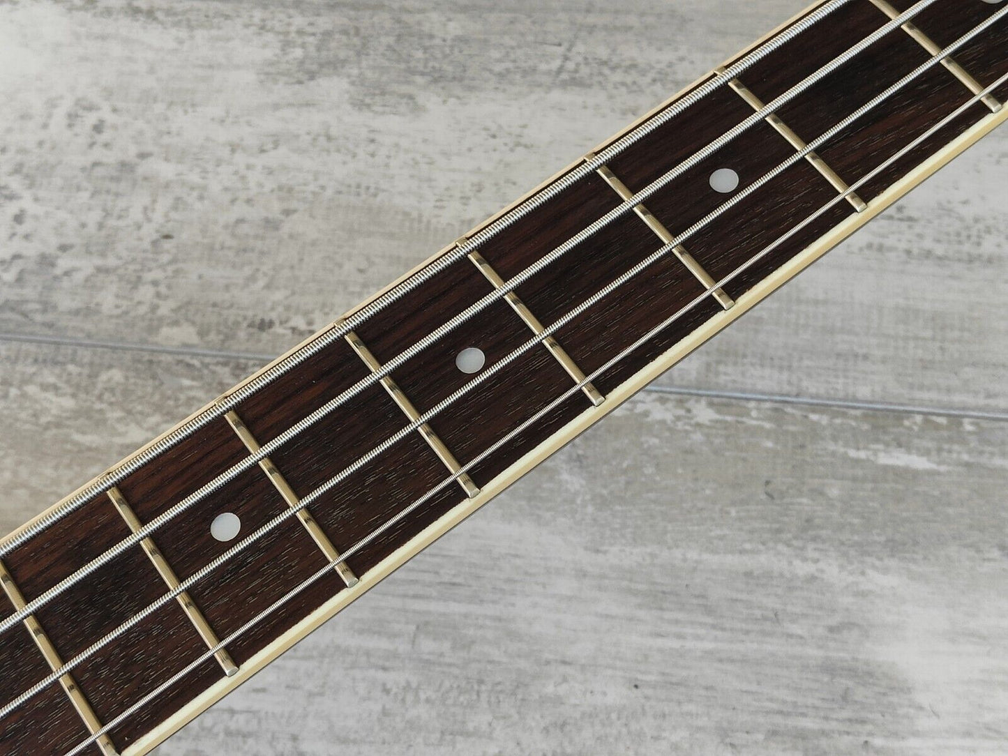 1999 Regal RD-05 Short Scale Resonator Acoustic Bass