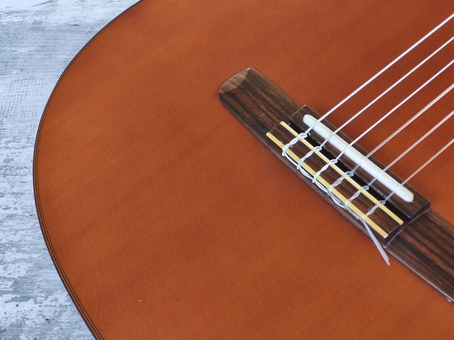 Morris Japan Groovin' PA-17G Nylon String Acoustic w/Preamp