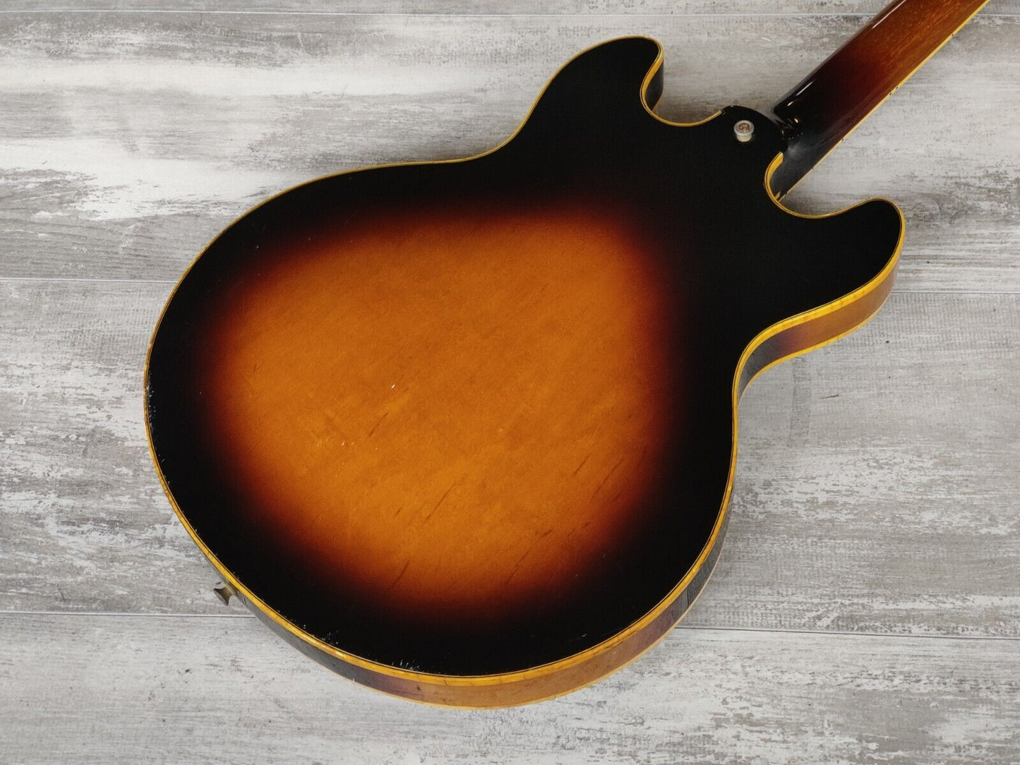 1982 Greco Japan SV-600 Super View Semi Hollowbody (Sunburst)