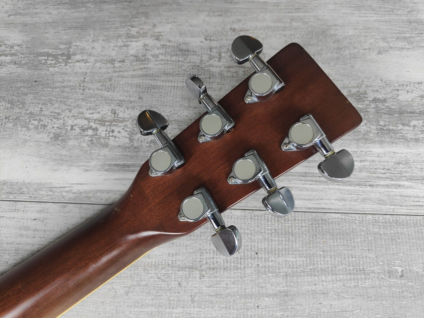 1990's Cat's Eyes (Tokai Japan) CE-18T Acoustic Guitar (Natural)