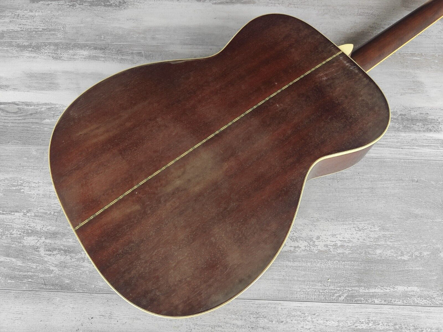 1990's Cat's Eyes (Tokai Japan) CE-18T Acoustic Guitar (Natural)