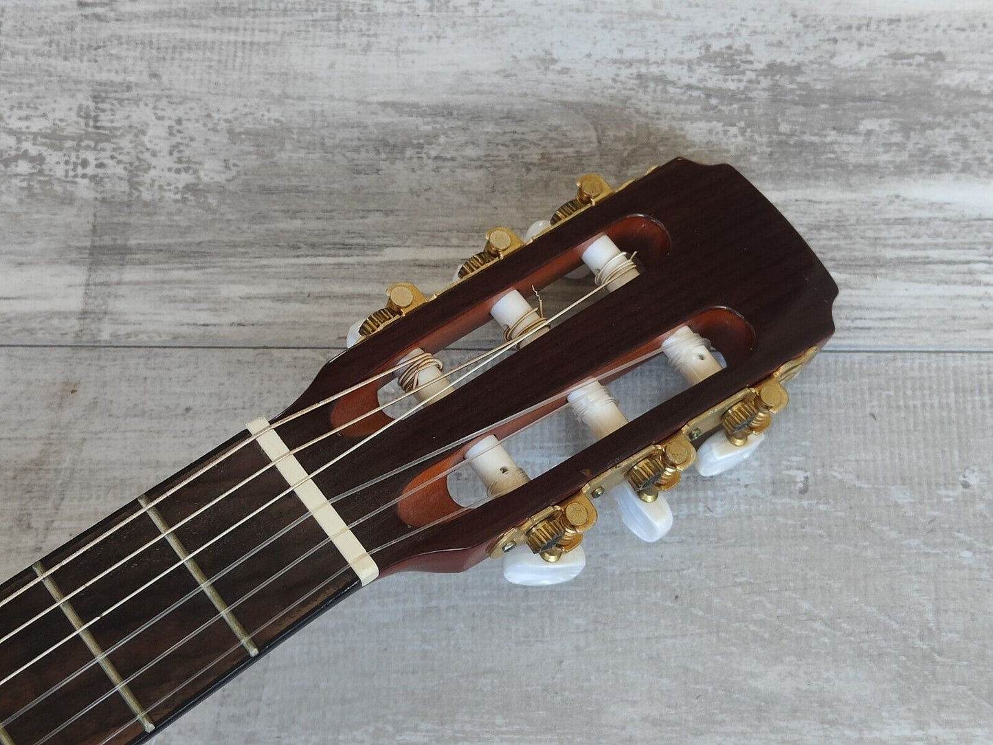 Aria A-20-53 3/4 Classical Guitar