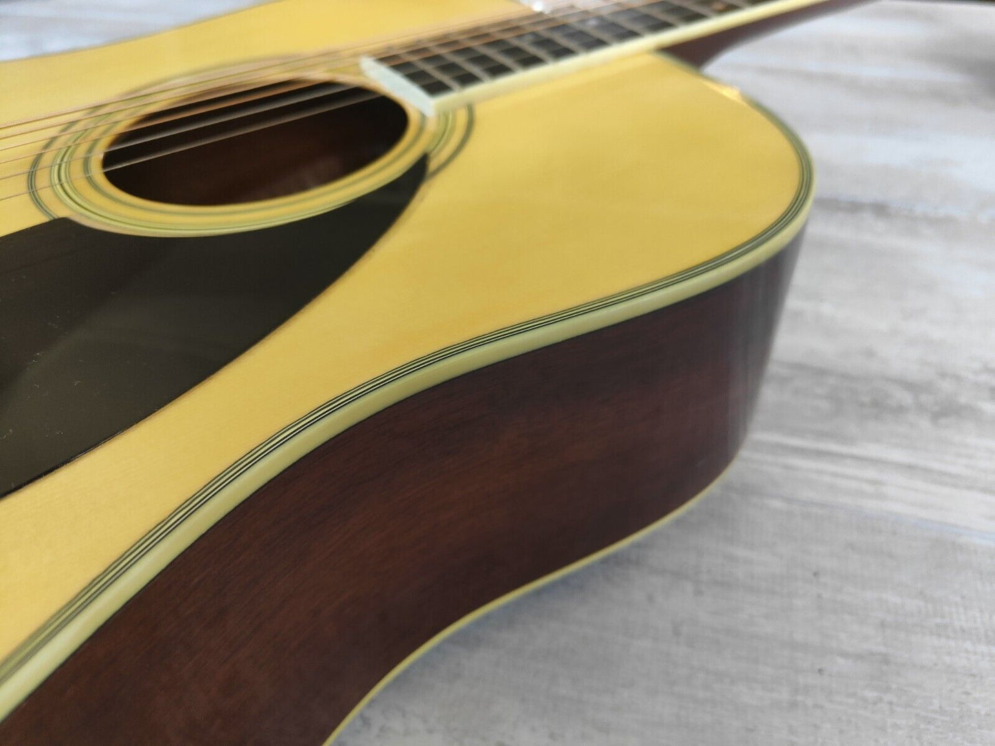 1980's Morris LF-250 Japanese Vintage Acoustic Guitar (Natural)